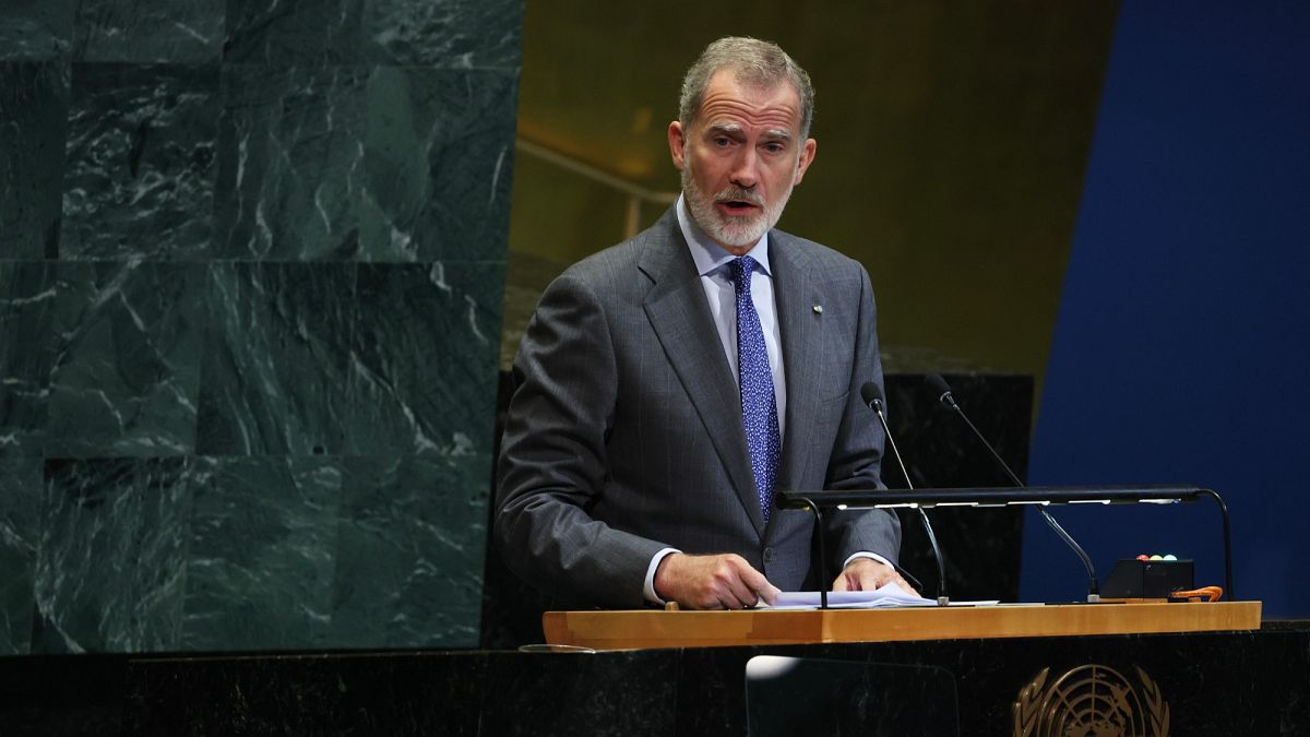 Felipe VI pede fim imediato do massacre em Gaza na ONU