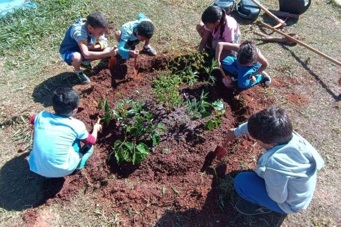 Escolas públicas do DF aplicam a sustentabilidade como disciplina