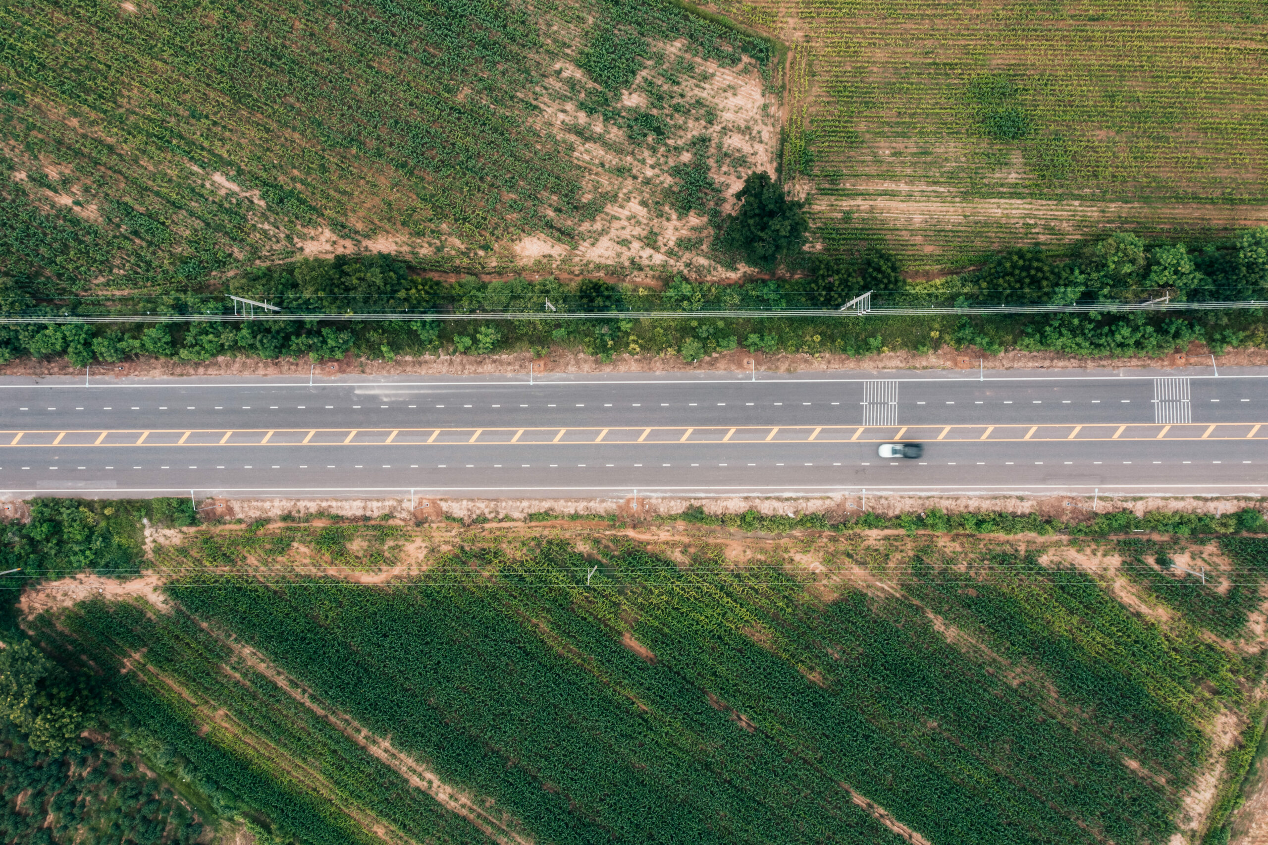 Rodovias lideram expectativas de investimentos em
