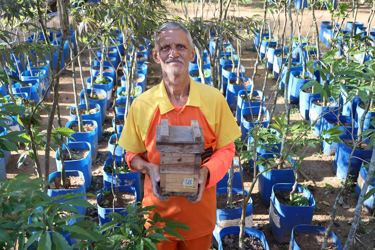Prefeitura de Niterói usa abelhas sem ferrão para impulsionar