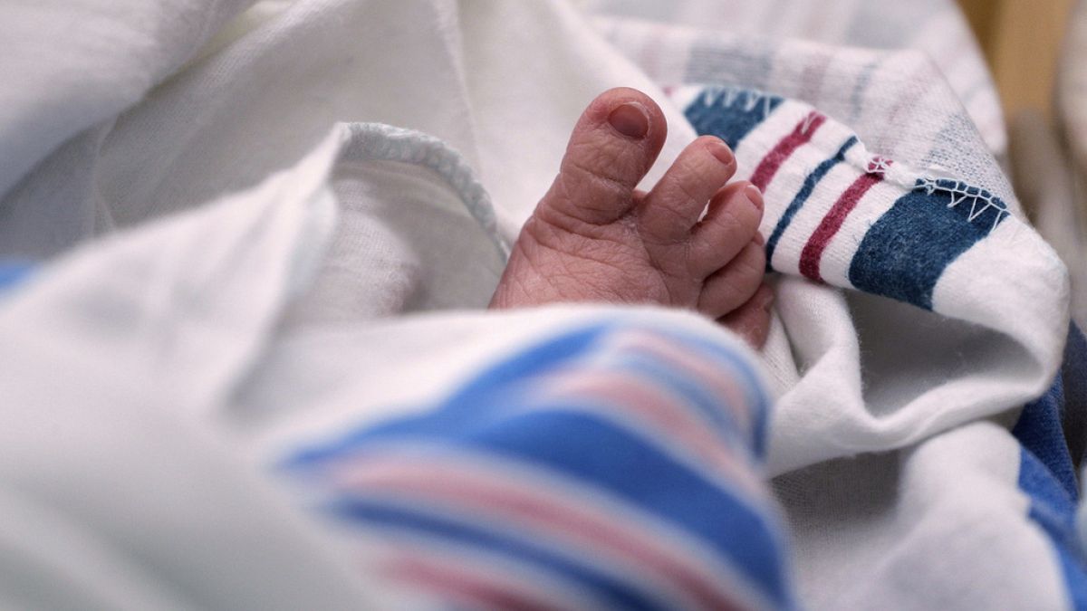 Nascimentos aumentam em Portugal