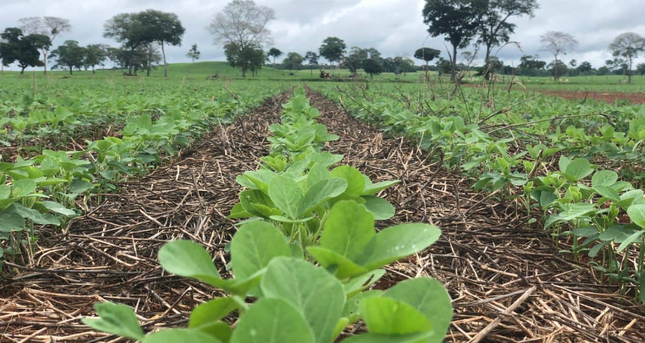 Crise do diálogo afeta seguro rural e finanças do agronegócio