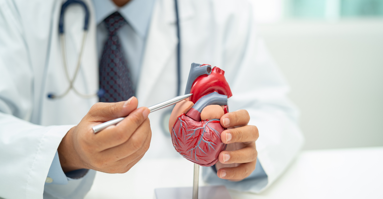 Hospital Português é referência em IA cardiovascular no Norte-Nordeste