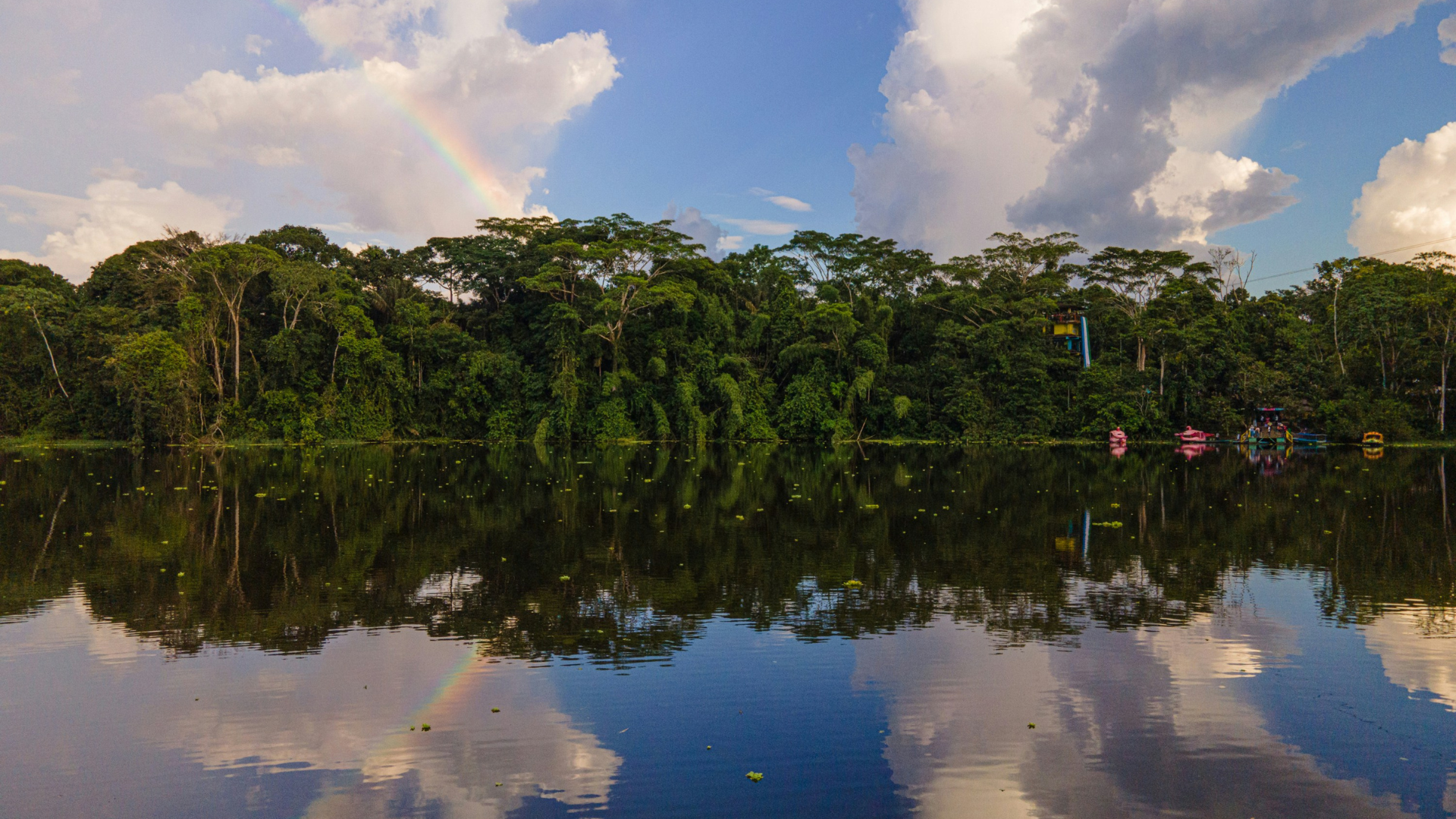 Ciência e inovação com raízes amazônicas