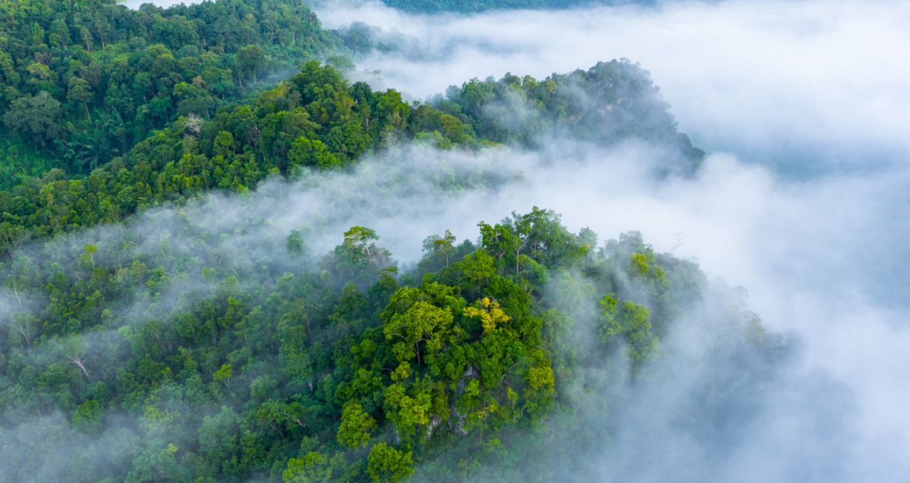 Plano Clima pune quem cumpre lei e reduz credibilidade do Brasil