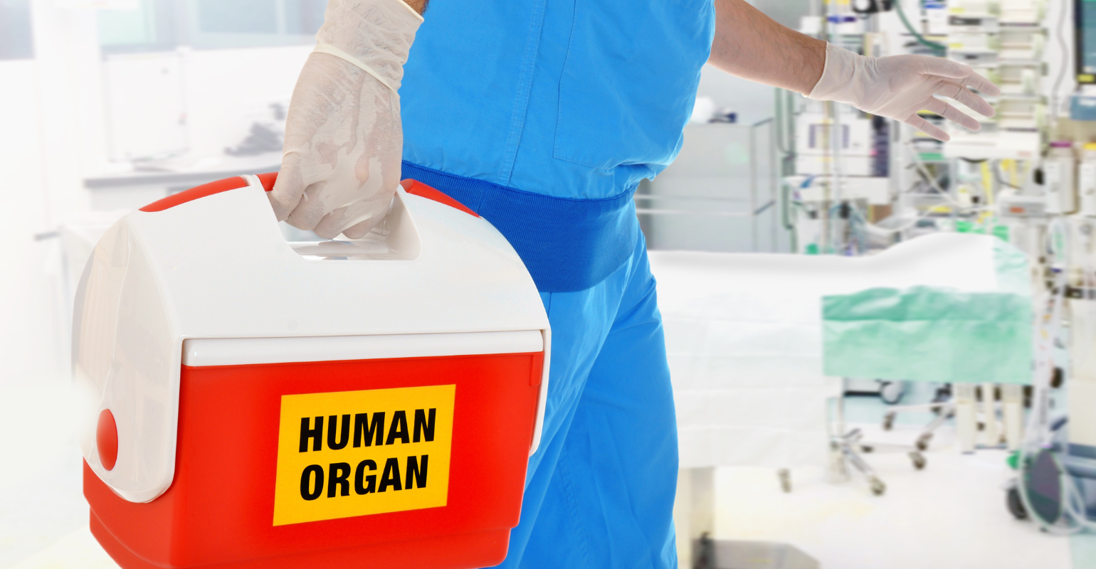 Transporte de órgãos em voos privados pode ser isento de taxas