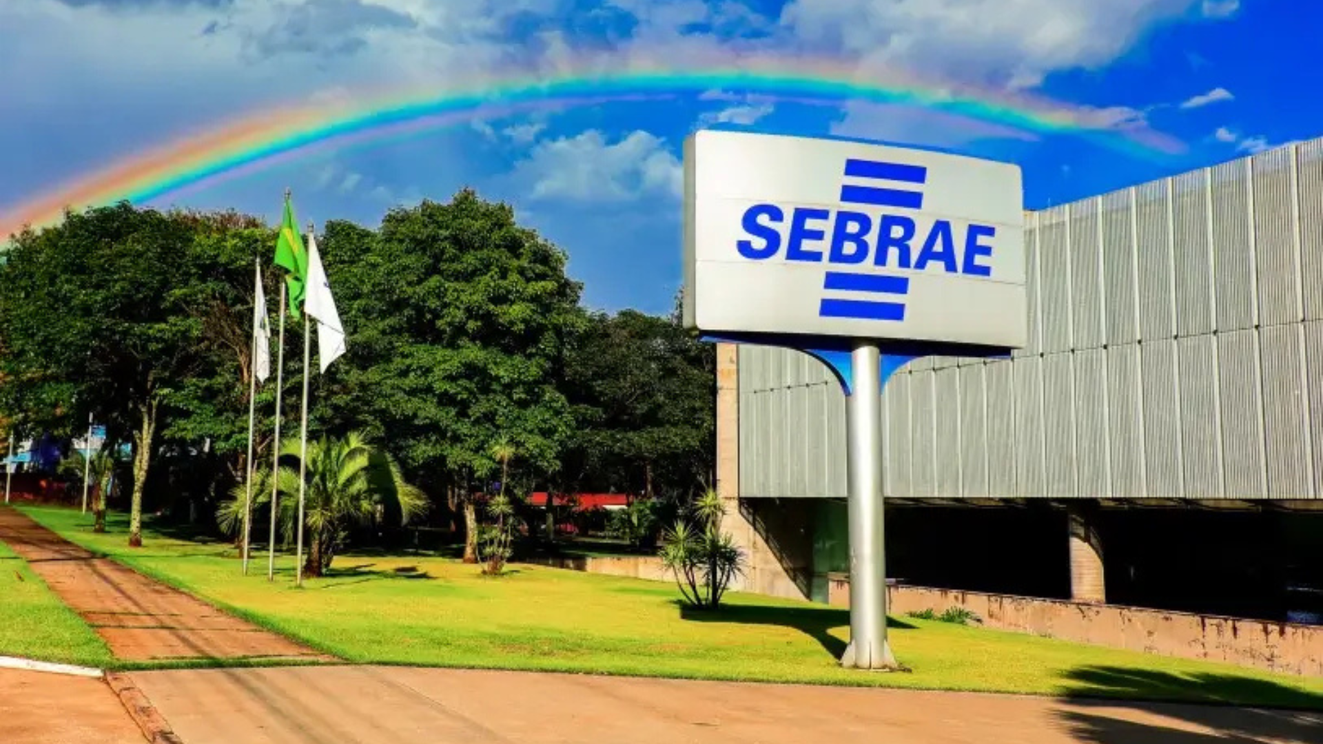 Sebrae orientou mais de 720 mil pequenos negócios para o mercado