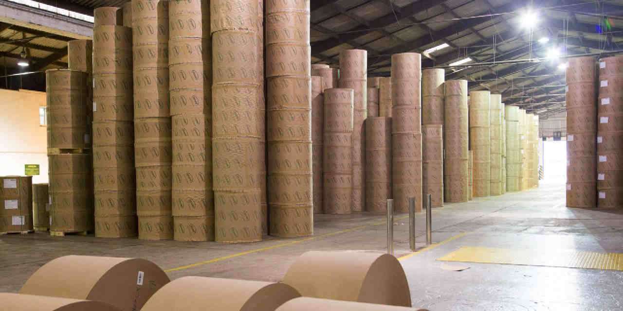 Irani (RANI3) terá novo presidente a partir de janeiro de 2026