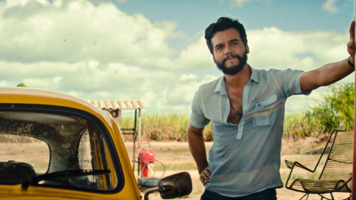 Brasil tem quatro filmes pré-indicados ao Oscar 2026