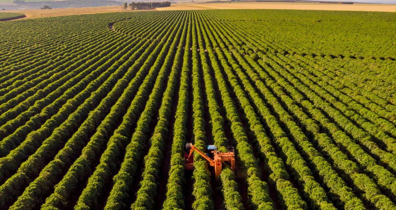 Títulos do agronegócio crescem 18% em 12 meses até novembro