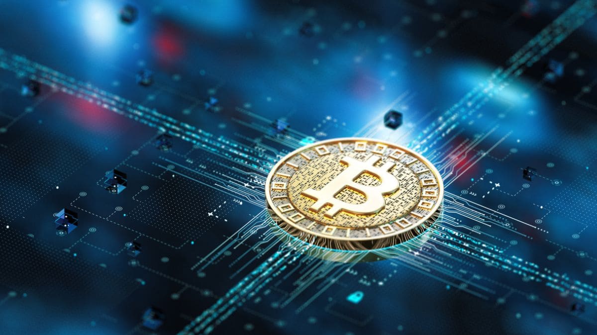 Desafio Mil Milionários: R$ 3.125 podem virar R$ 1 milhão em 1 ano