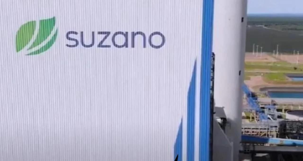 Suzano (SUZB3) anuncia R$ 1,38 bi em dividendos e R$ 5 bi de aumento