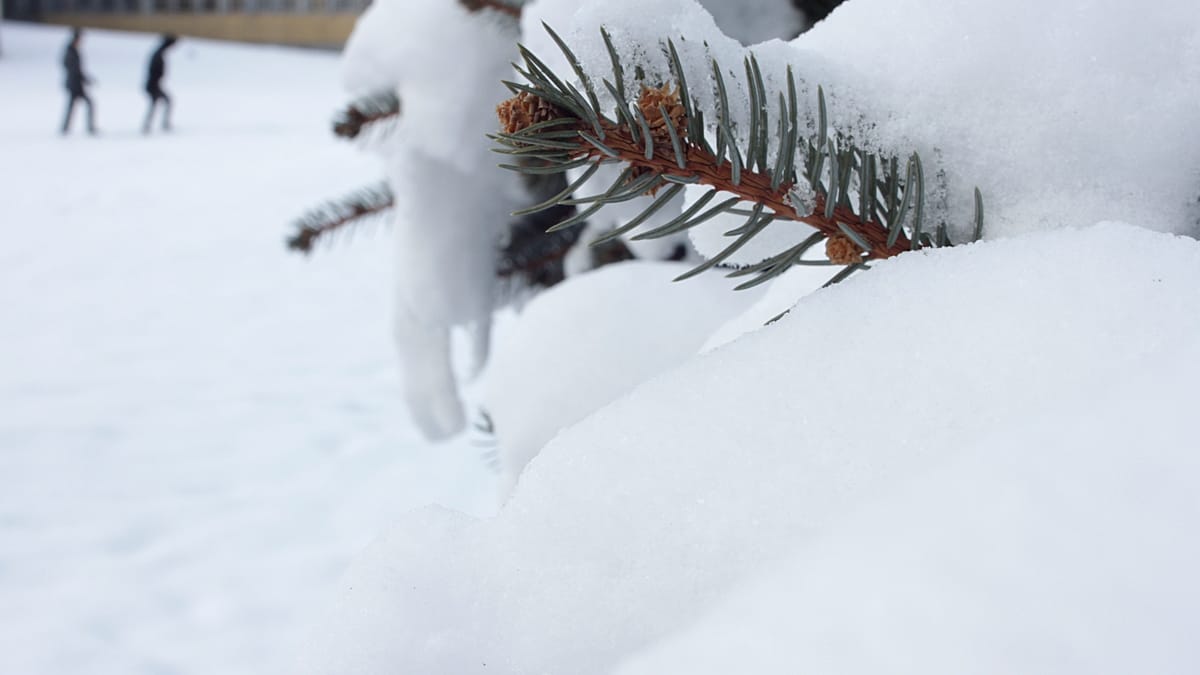 Tempestades de neve atingem Bósnia, Sérvia e Croácia