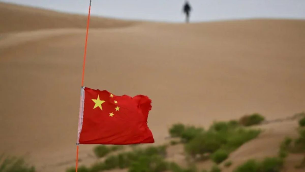 China planta floresta em deserto inóspito