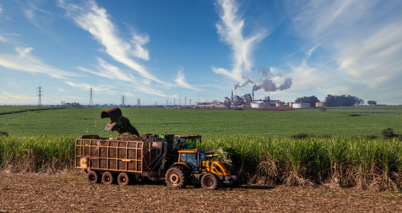 Crise das sementeiras, boi e etanol no Agro Times