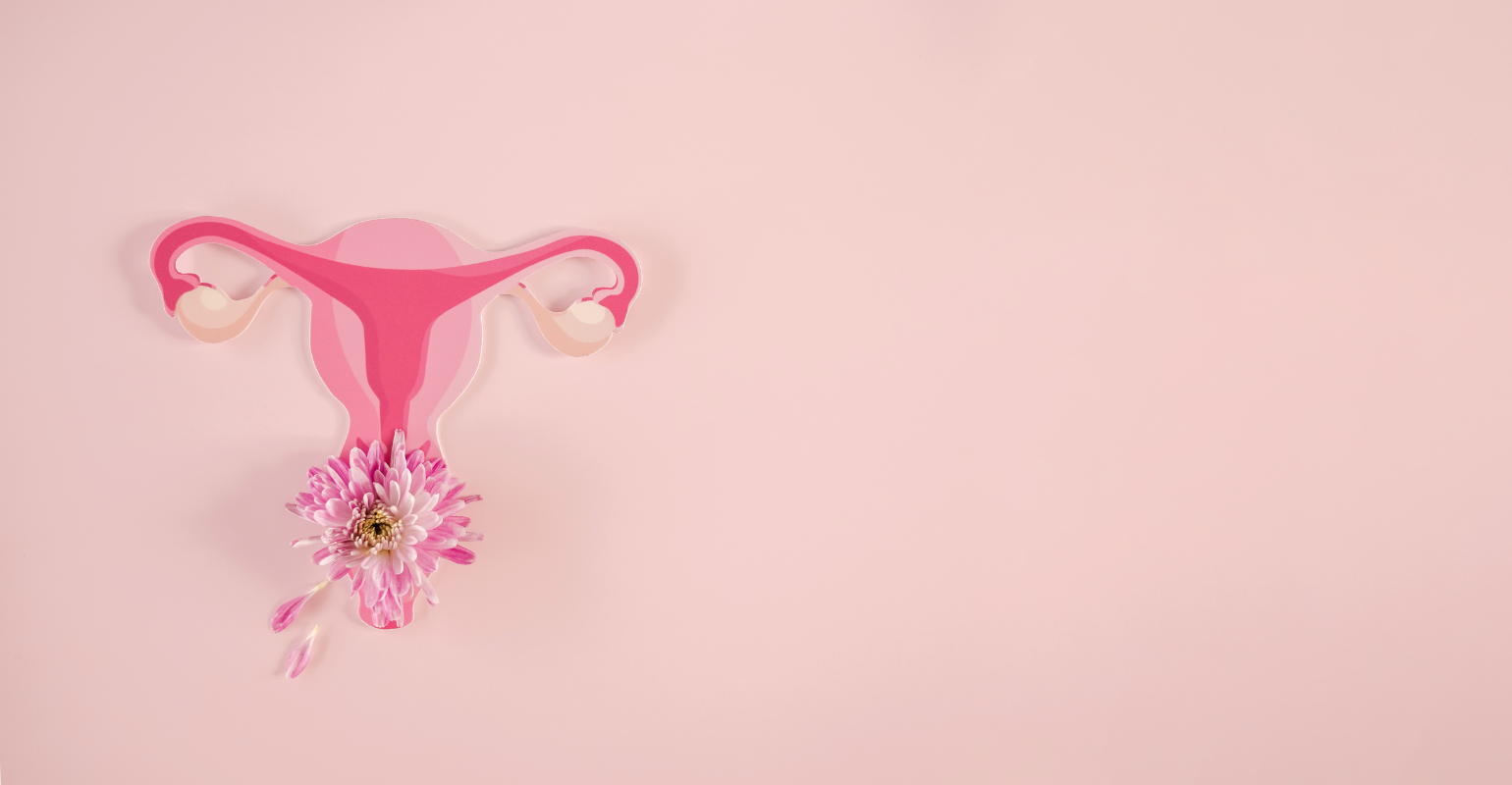 Fundação do Câncer atualiza guia de rastreamento de câncer de colo