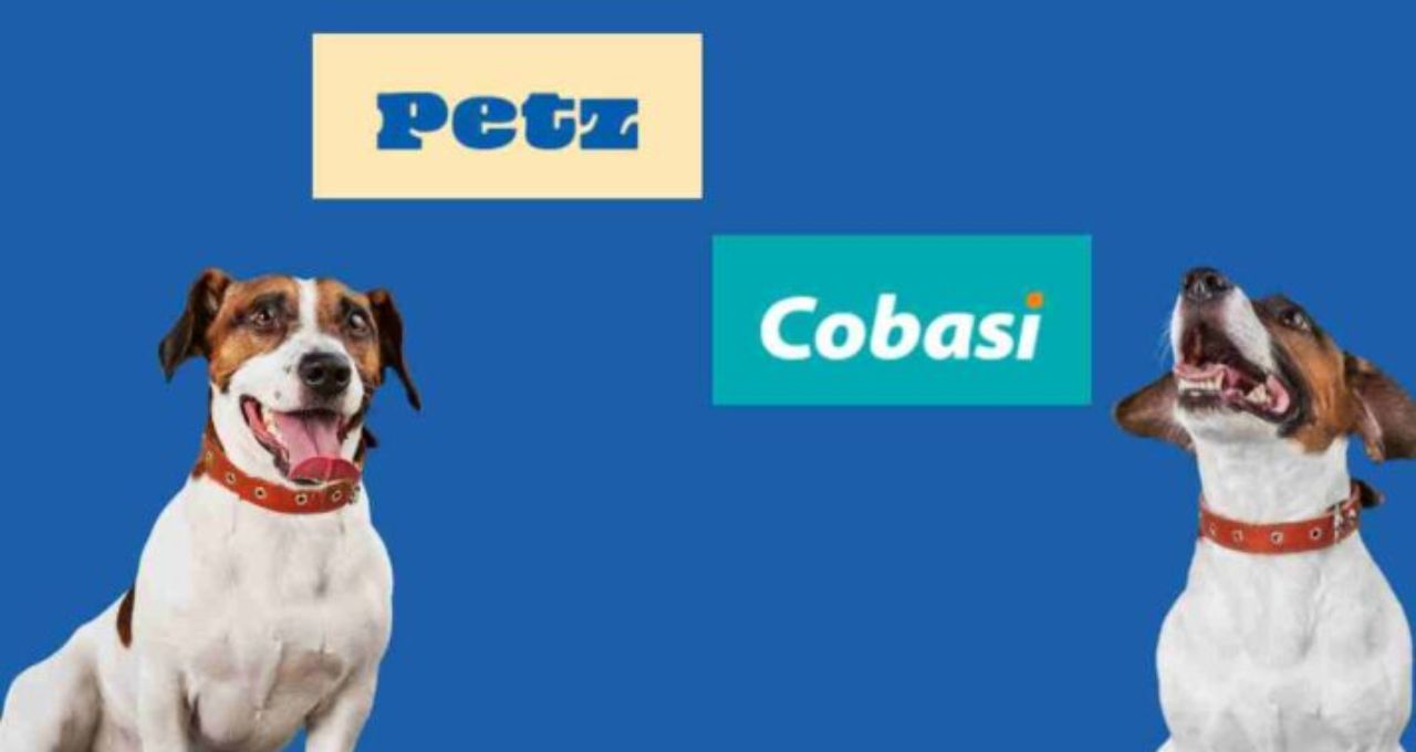 União Pet (AUAU3) pagará R$ 26 milhões em dividendos