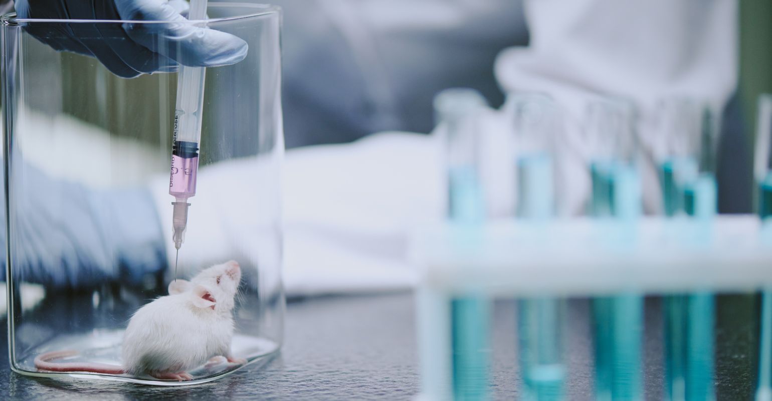 Nanotecnologia ajuda a descobrir novos tratamentos para tuberculose