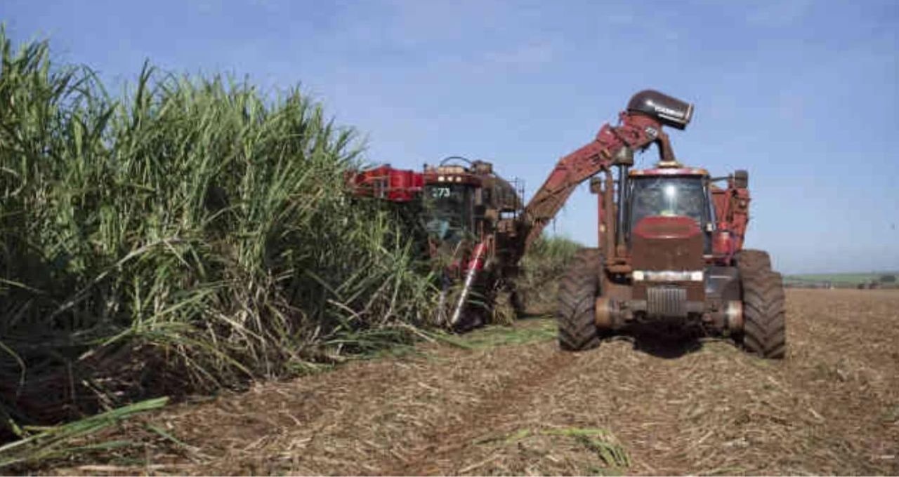 São Martinho lucra R$ 424 milhões no 3T26, mas Ebitda e receita caem