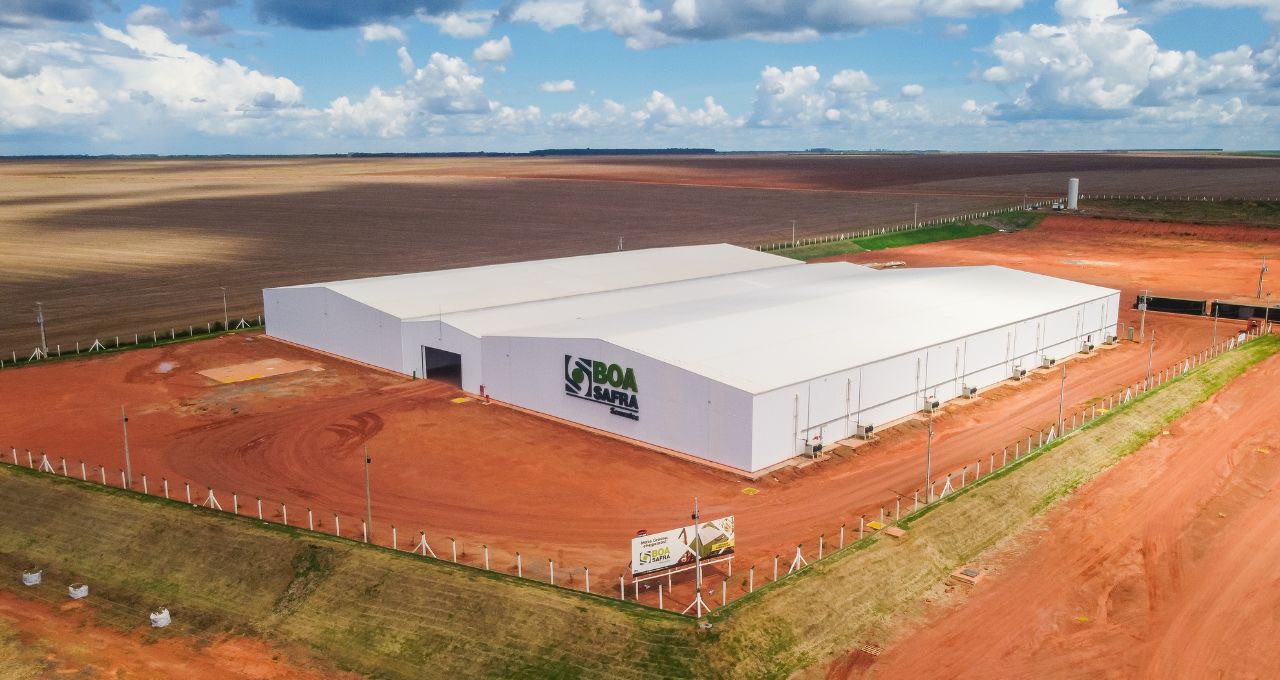 Boa Safra (SOJA3) cai após 4T25 fraco; análise dos especialistas