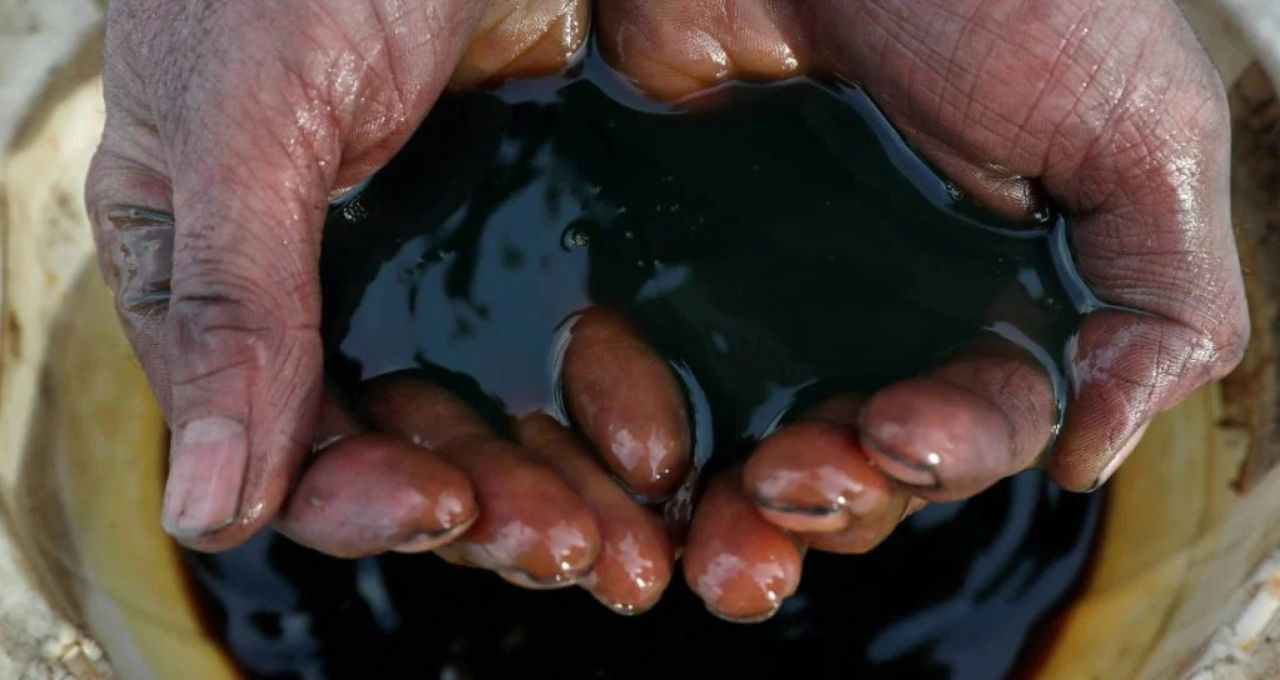 Brava (BRAV3) cai 4% após frustração com compra de ativos da Petronas