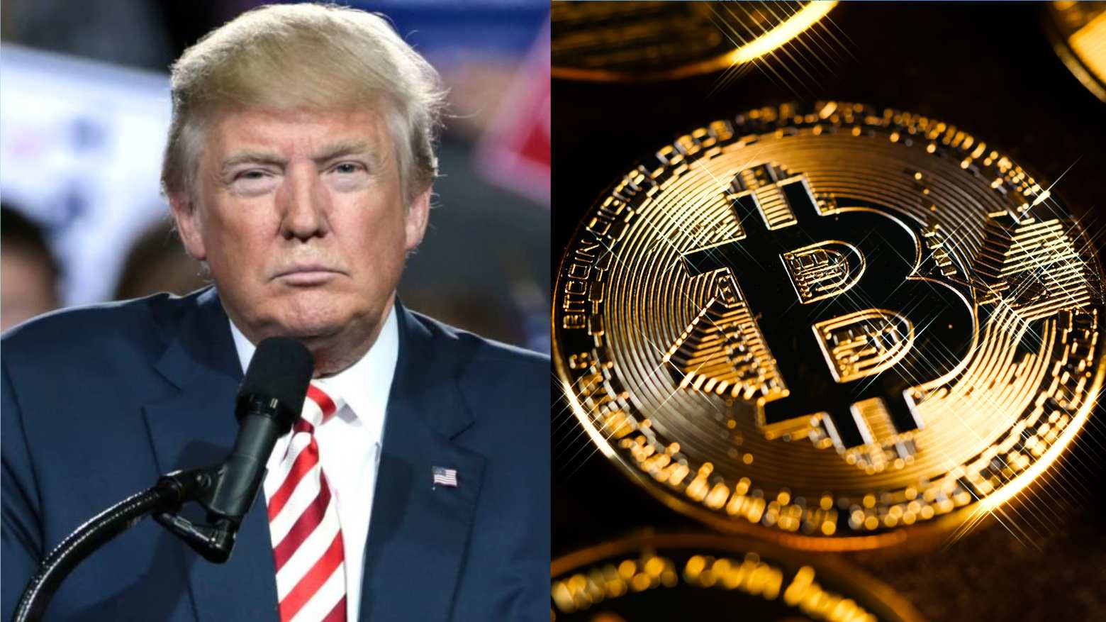 TRUMP: após queda de 96%, criptomoedas podem multiplicar 300 vezes