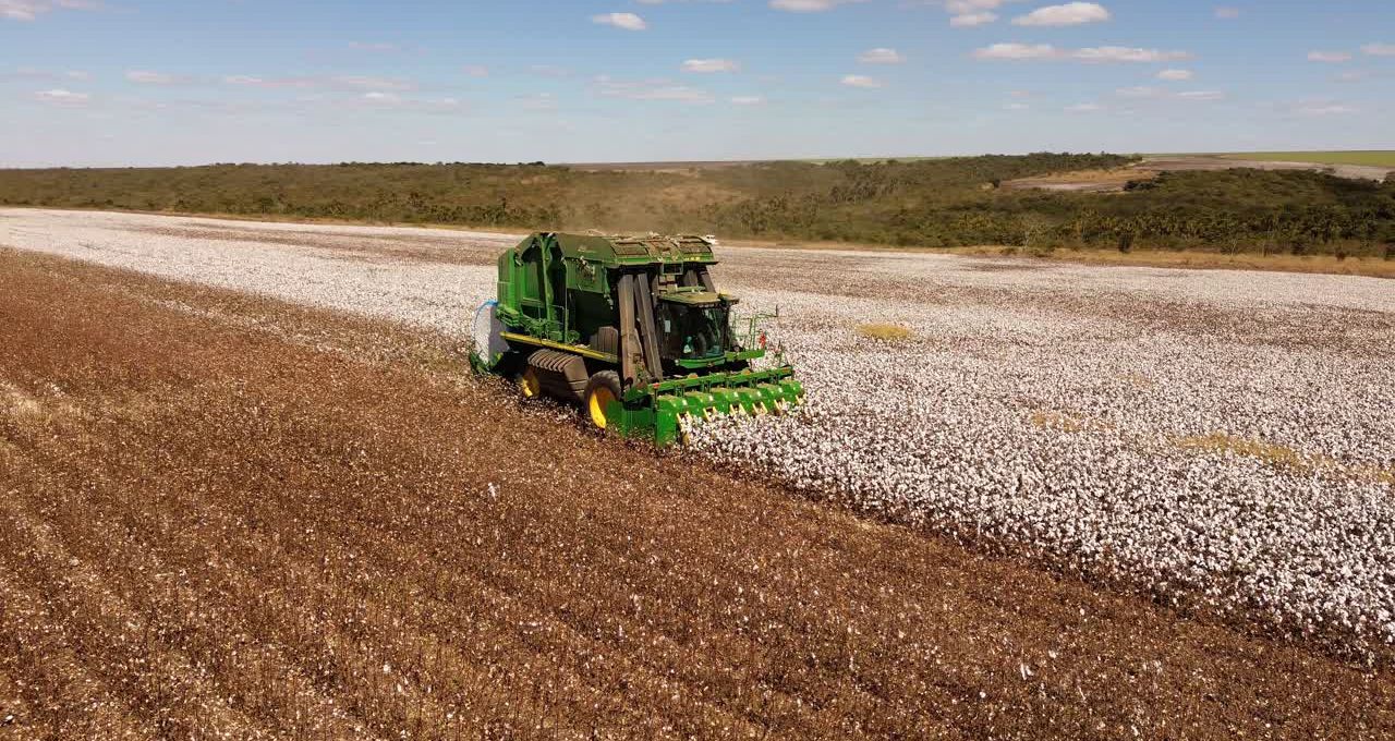 SLC Agrícola (SLCE3) tem prejuízo de R$ 71 mi no 4T25