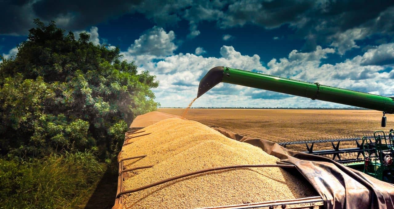 MBRF3 vê cenário favorável para grãos no Brasil