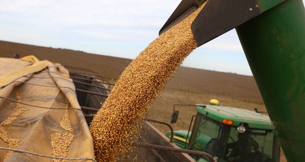 Milho e soja sobem em Chicago com dados do USDA