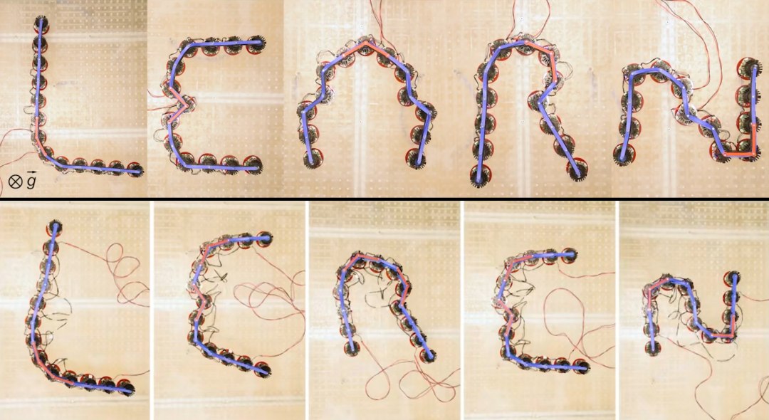 Metamateriais aprendem forma e se movimentam como seres vivos