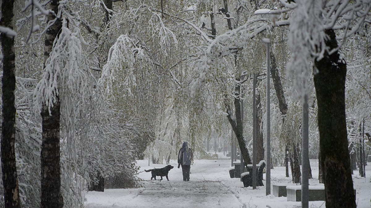 Nevão raro em plena primavera atinge Moscovo