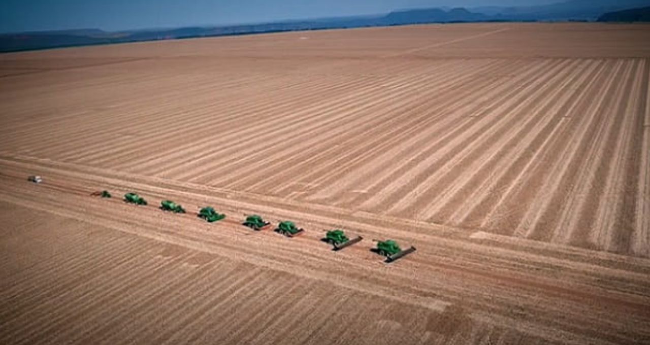 SLC Agrícola economiza R$ 58 milhões com revolução em defensivos