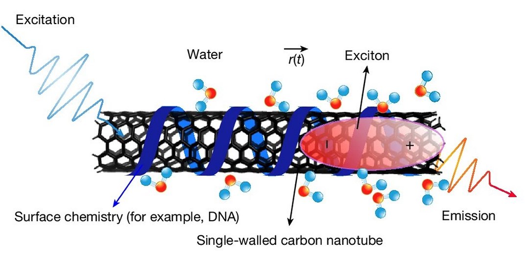 Fricção quântica induzida por luz freia nanotubos na água