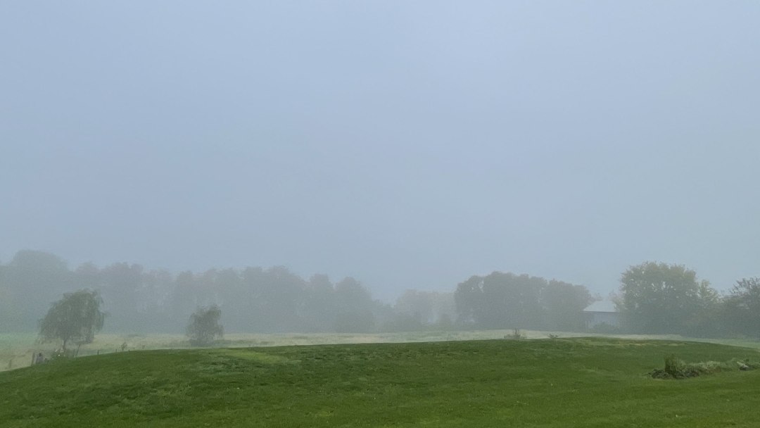 Neblina abriga bactérias benéficas que purificam o ar