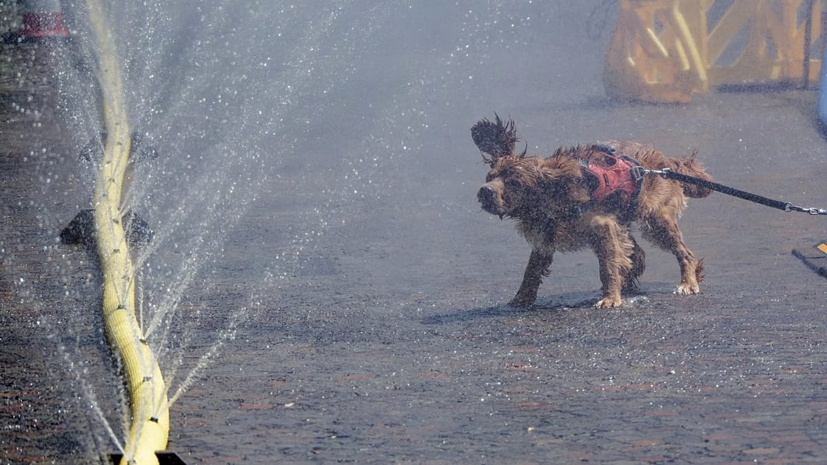 Névoa refresca moradores durante onda de calor em Colônia
