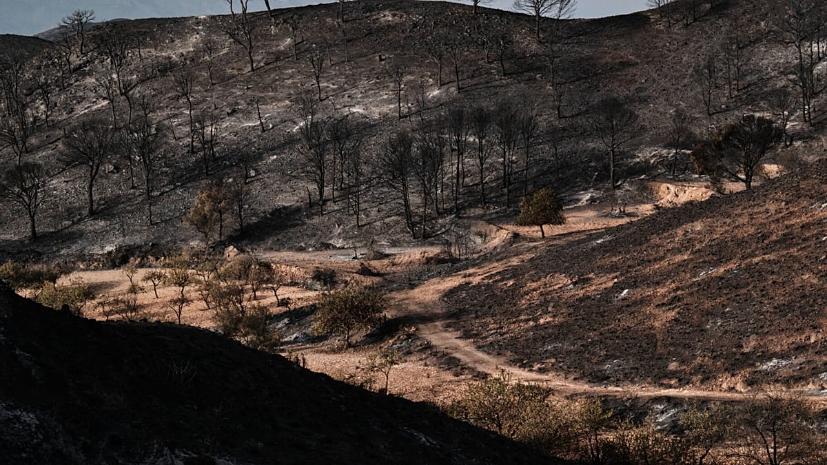 Incêndio florestal na Espanha devasta milhares de hectares