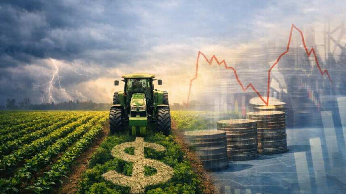 Tempestade perfeita no agronegócio: riscos e alertas