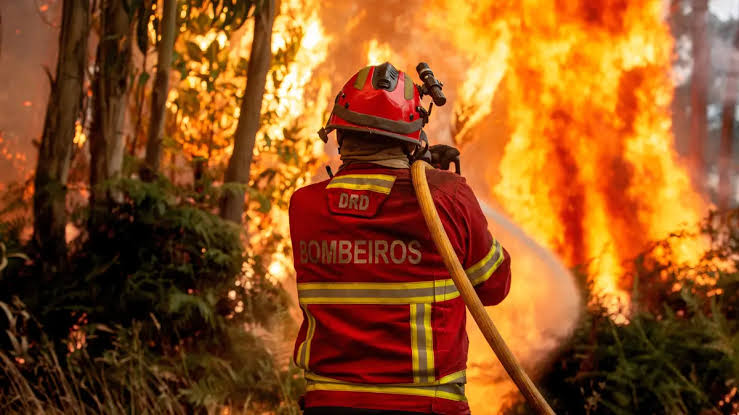 Terror da negação climática supera os incêndios na Europa