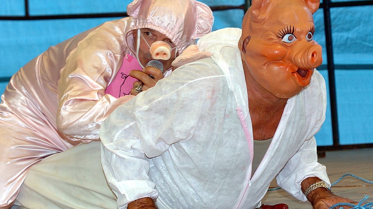 Campeonato de imitação de porcos anima aldeia na França