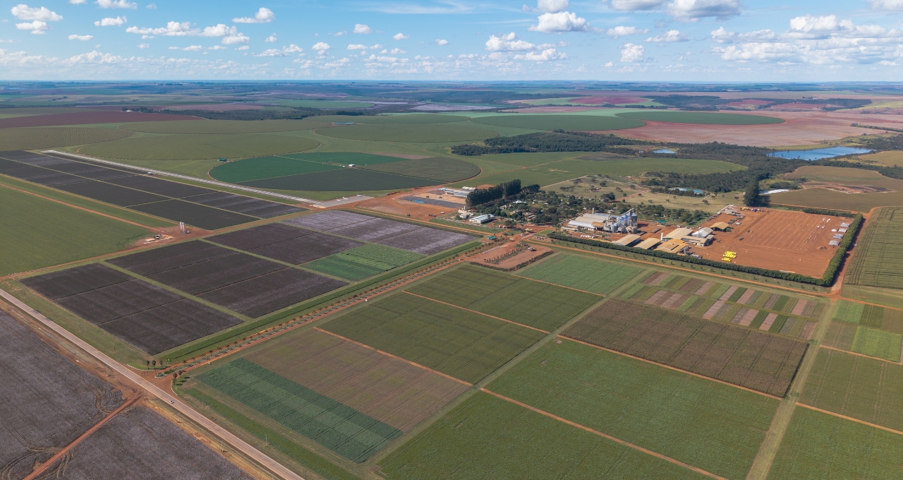 Lucro da SLC Agrícola dispara 75,3% no 2T26, a R$ 245 mi