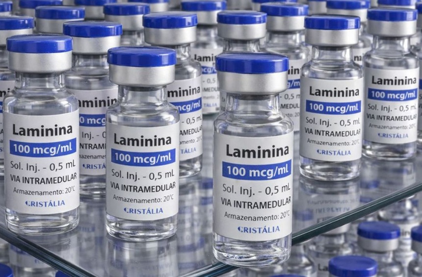 Testes clínicos fase 1 da polilaminina começam este mês