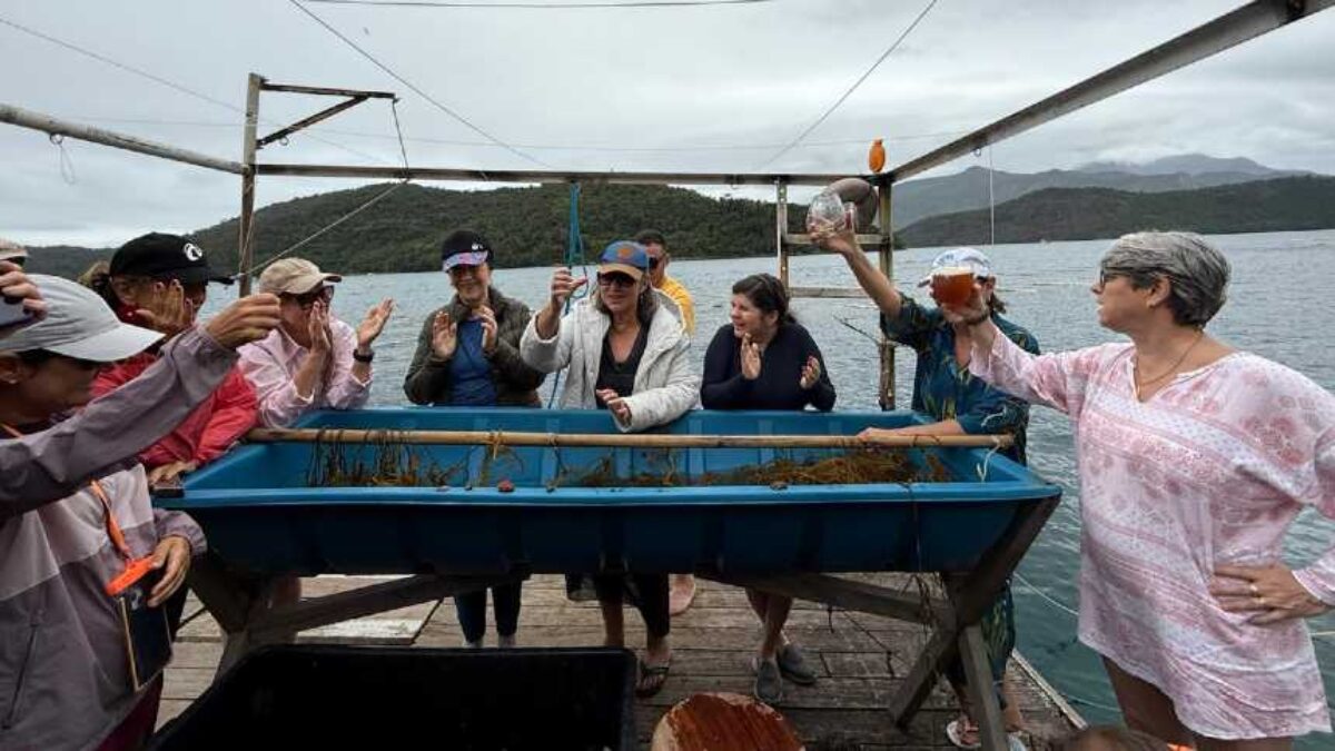 Chefs viram guias em viagem gastronômica com chefs