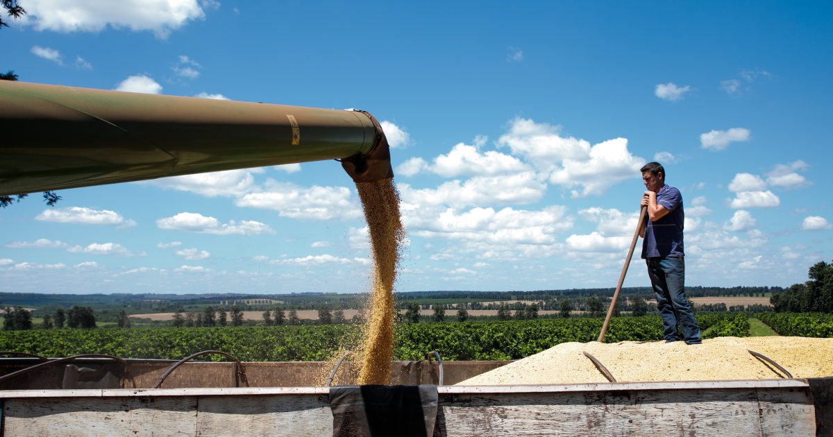 El Niño economia: impactos globais do fenômeno