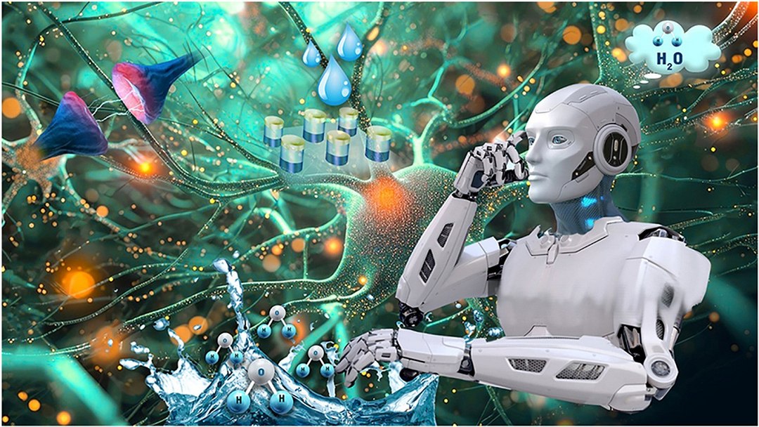 Sinapse artificial úmida avança computação cerebral