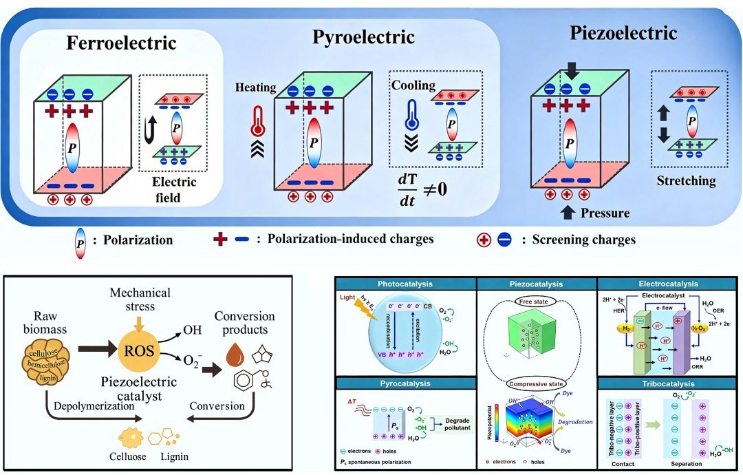 Piezocatálise transforma biomassa em combustível e químicos
