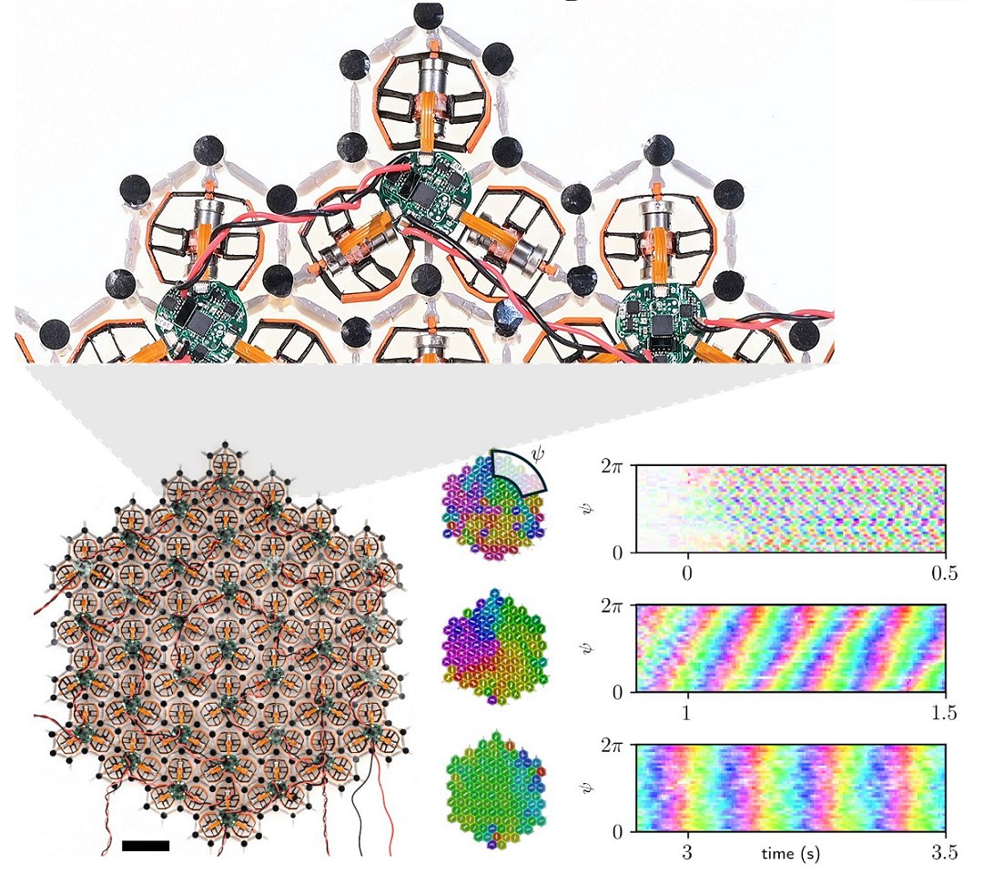 Material robótico vibra como vivo e vira cristal do tempo