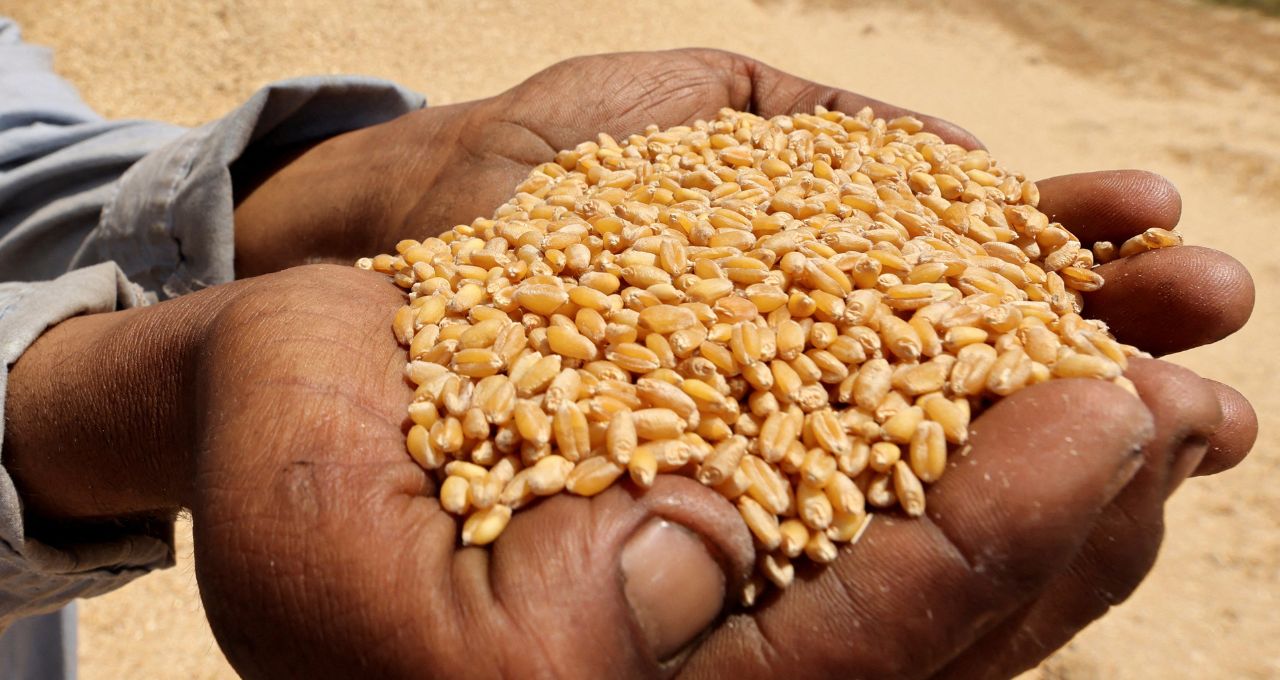 Mercosul pode suprir 40% da demanda global por alimentos