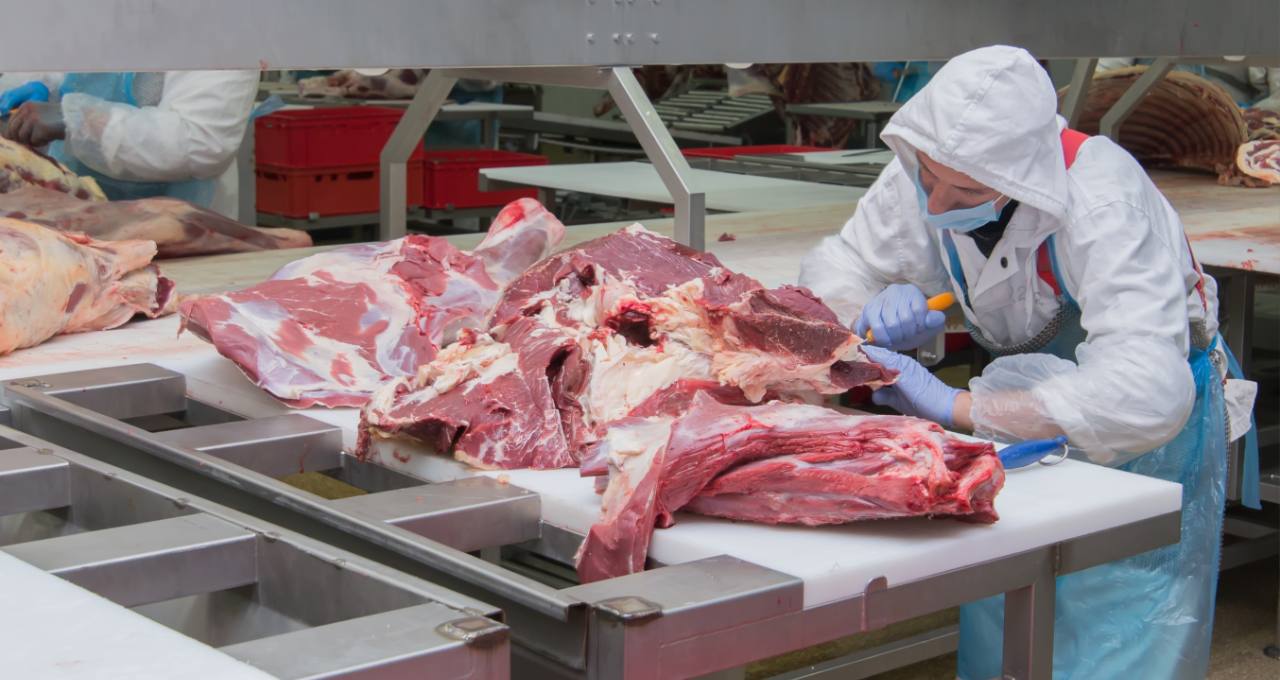 Exportação de carne bovina de MT cresce 2.242% em 25 anos